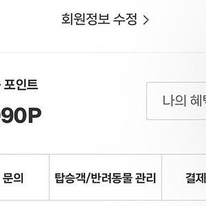 제주항공 45000포인트
