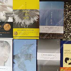 한강소설책(채식주의자/디에센셜/소년이온다/흰/작별하지않는다/여수의사랑/그대의차가운손/바람이분다가라/내여자의열매/서랍에저녁을넣어두었다/빛과실)