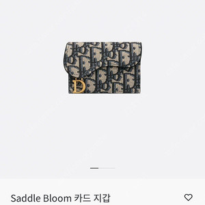 디올 오블리크 새들 카드지갑