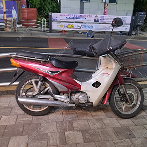 씨티100
