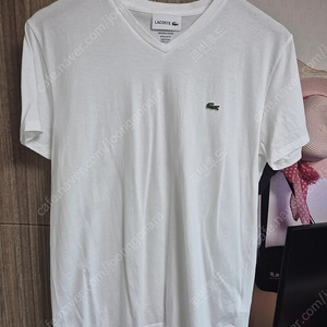 라코스떼 브이넥 티셔츠100