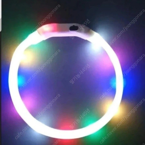 애완견 LED산책목걸이