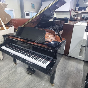 2022년제품야마하베이비그랜드피아노 GC-1