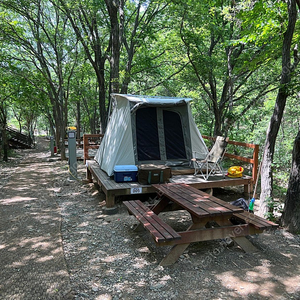 코디악 8×9 면텐트 팝니다
