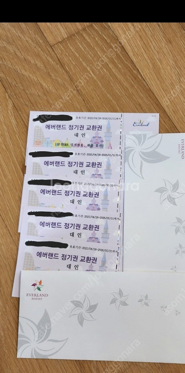 에버랜드 정기권(구 연간회원권)--0