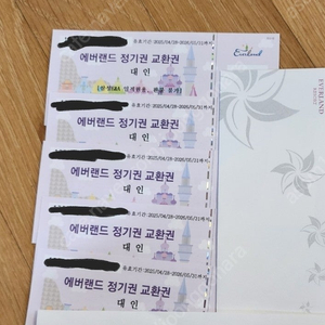에버랜드 정기권(구 연간회원권)