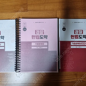 헌법도약(이국령) 기출문제집 제5판