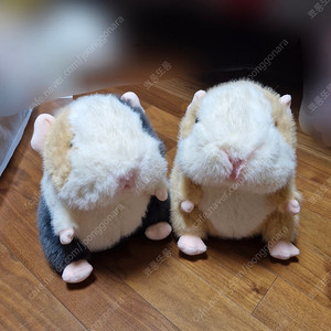 모루못토상 인형 판매 재고1개 (오른쪽인형판매완)