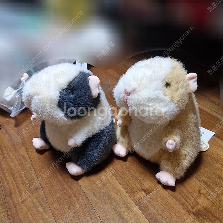 모루못토상 인형 판매 재고1개 (오른쪽인형판매완)--2