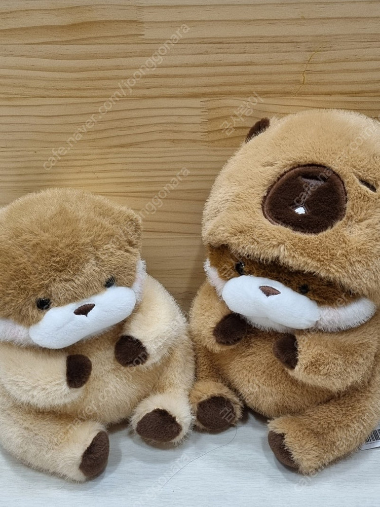 속았지 우소우소짱 세트--1