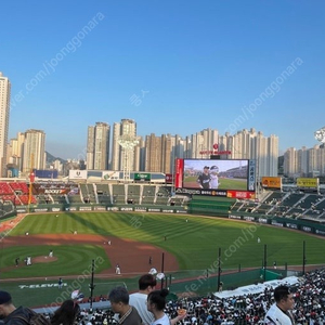 5/30~6/1 롯데 ssg 2연석/3연석/4연석 양도
