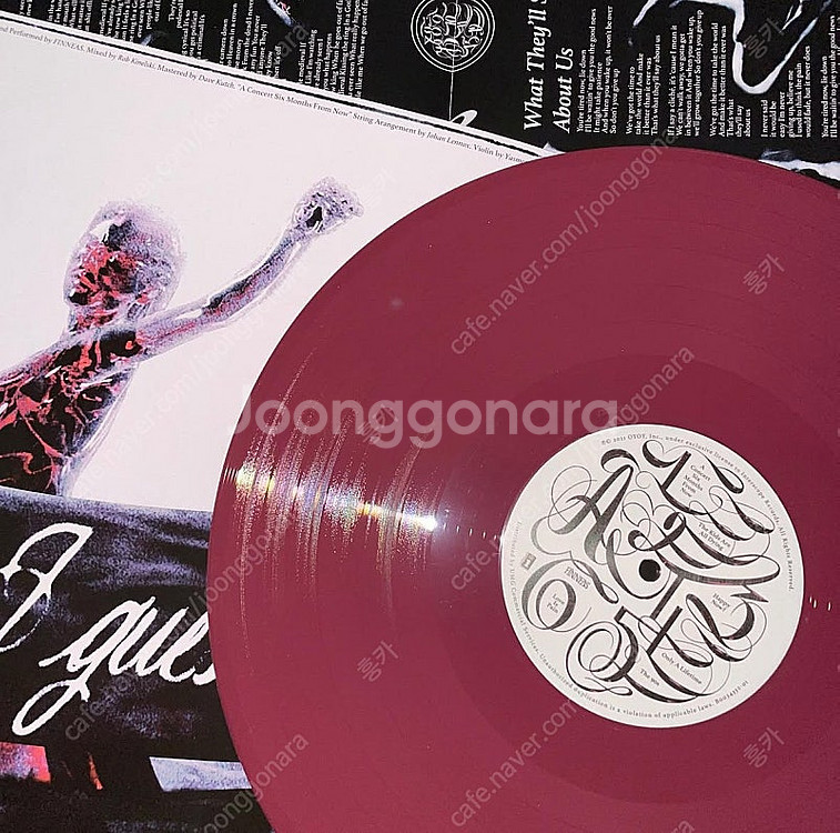 FINNEAS(피니어스) 1, 2집 한정판 컬러 LP 일괄--5