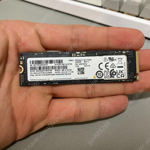 삼성 pm9a1 2tb m.2