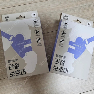 PROJECT21 애견 슬개골 보호대 좌우(M)1세트