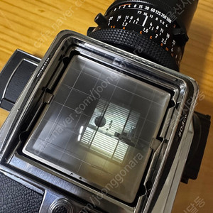 Hasselblad 503 CW, cf 50mm