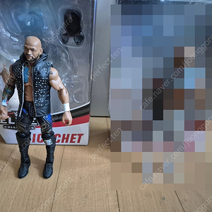 WWE 피규어 여러가지 판매합니다.