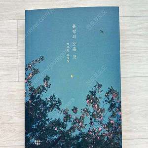 백수린 봄밤의 모든 것
