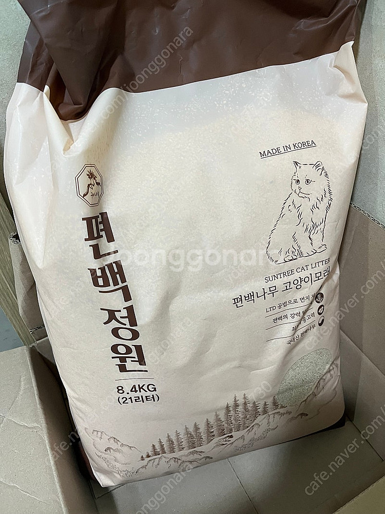 편백나무 고양이 모래 편백정원--0