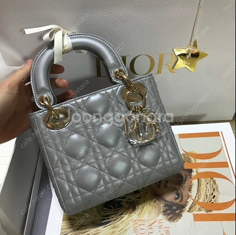 디올 레이디백 미니 펄그레이 (새상품급)--0