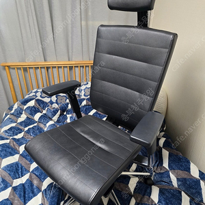 시디즈 T55 블랙에디션 사무용의자 TN550HLDA 판매합니다
