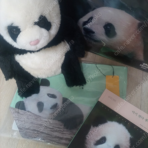 푸바오 굿즈 팝니다