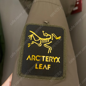 아크테릭스 리프 패치