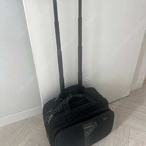 승무원 캐리어