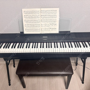 야마하 P-515