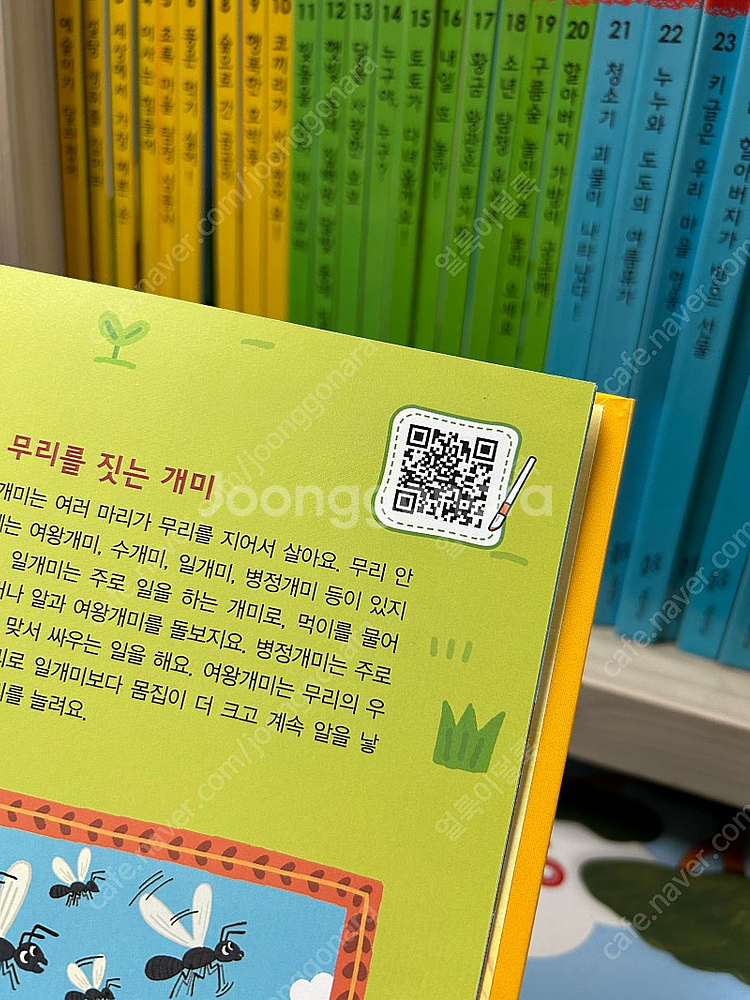 조물조물 탐구놀이 최신개정판 새책급 택포--3