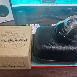 스튜디오 오션마크 블루헤븐 L50R(우핸) 판매합니다.