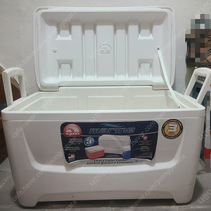 Igloo Marine 아이스박스 콤보 이글루 (45l, 9l)