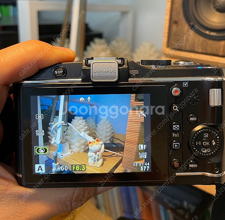 올림푸스 Olympus PEN E-P3 미러리스 카메라--5