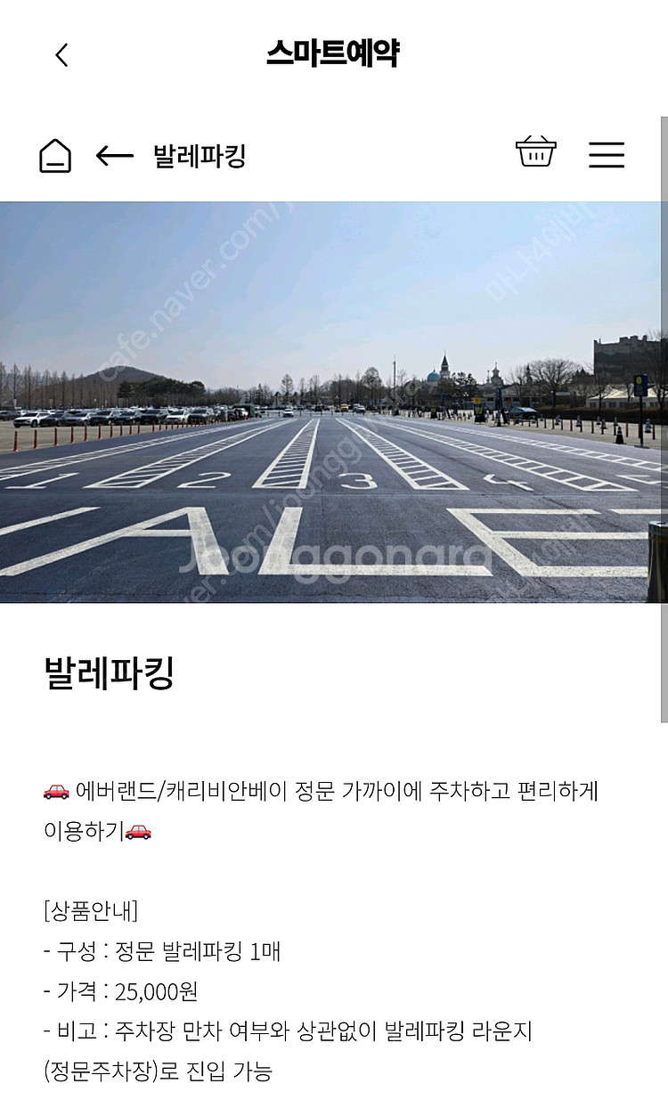 에버랜드 5월 31일 발렛. 사파리투어 양도 원해요~--0