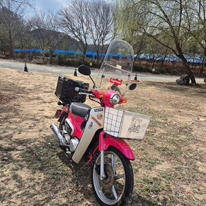 홍천 슈퍼커브21년식 8600키로