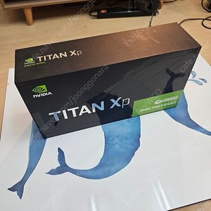 NVIDIA TITAN Xp 12GB 그래픽 카드 FOUNDERS EDITION (풀박)