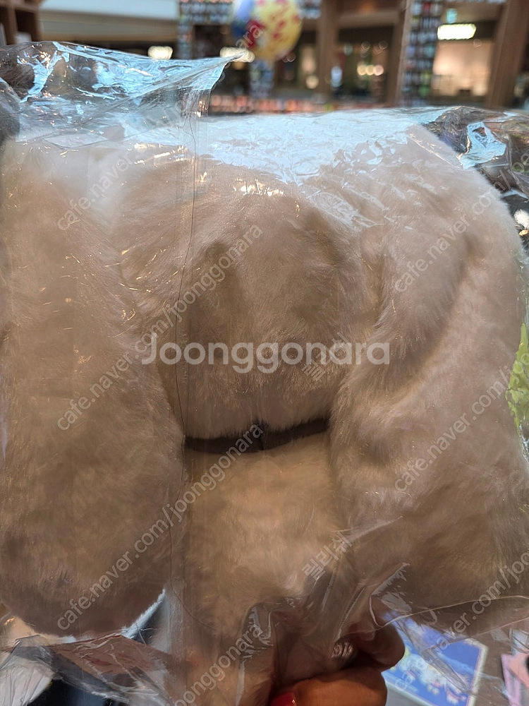 아이브 인형 장원영 미니브 체리녕 30cm--1