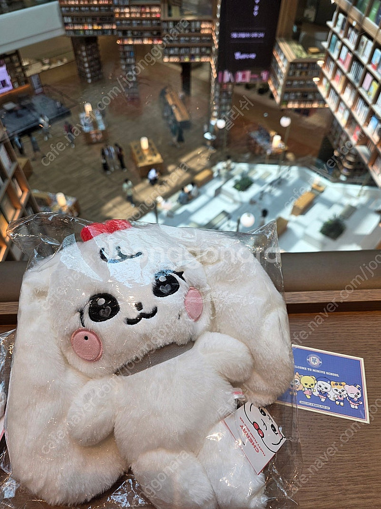 아이브 인형 장원영 미니브 체리녕 30cm--2
