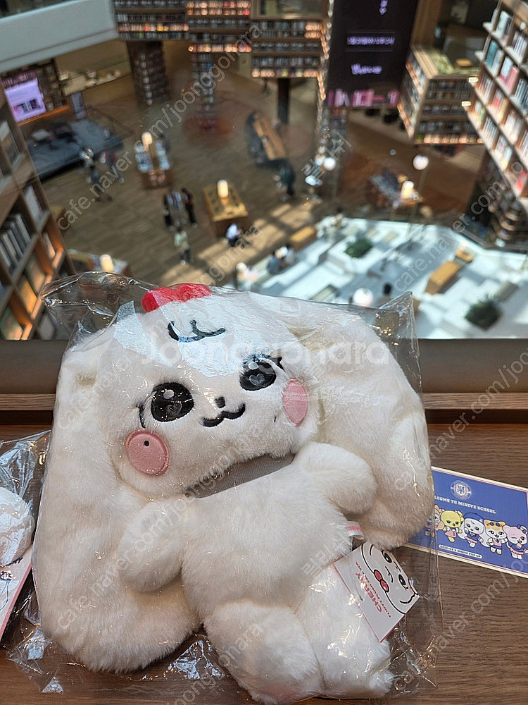 아이브 인형 장원영 미니브 체리녕 30cm--3