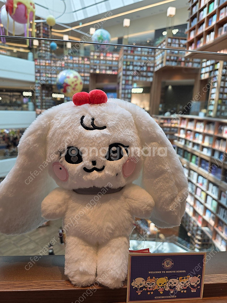 아이브 인형 장원영 미니브 체리녕 30cm--4