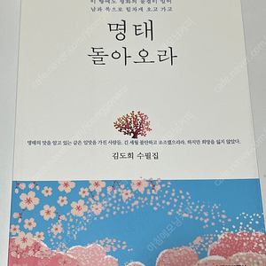 명태 돌아오라_김도희 수필집, 수필과비평사