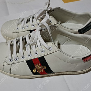 GUCCI(구찌) 여성 스니커즈 운동화 신발