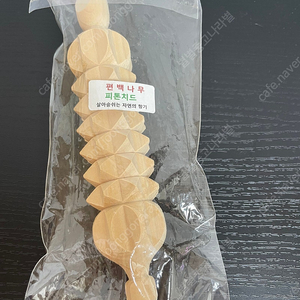 선물 추천 수목원 정원가게/ 편백나무 피톤치드
