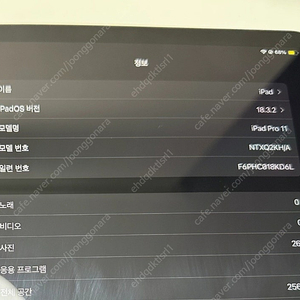 아이패드 프로 11형 256GB