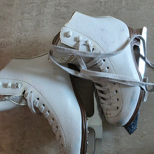 잭슨 피겨화 1791 13c