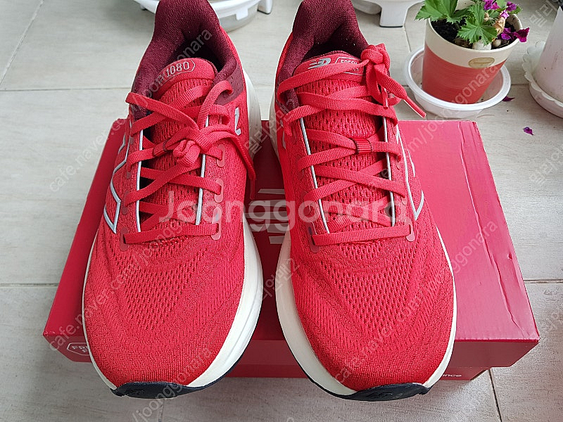 뉴발란스 프레쉬폼--5