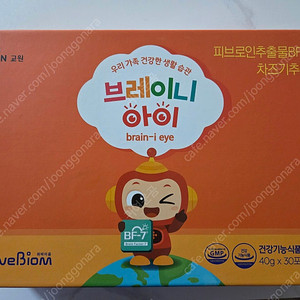 (판매완료)브레이니아이
