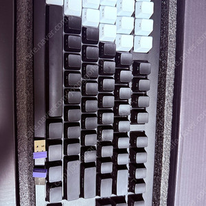 몬스긱 M5W, ILovbee87, gs104