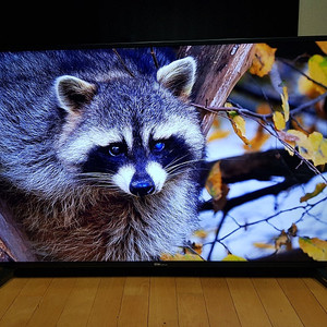 49인치 티비 모니터 UHD TV 4K 무결점 양천구
