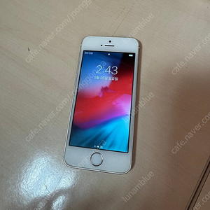 아이폰 5s 골드 16기가