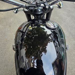 트라이엄프 본네빌 T120 젯블랙 컬러 판매 또는 z900rs대차 원합니다.